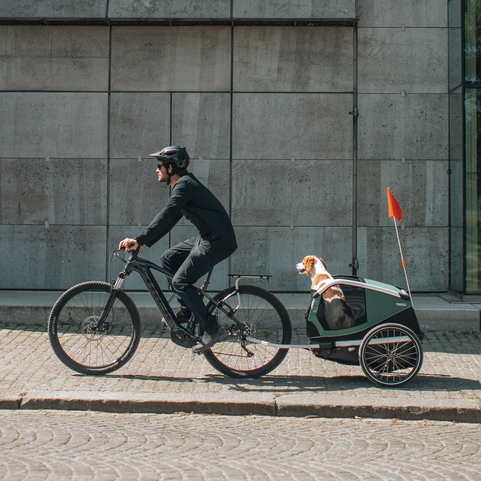 Thule Bexey M