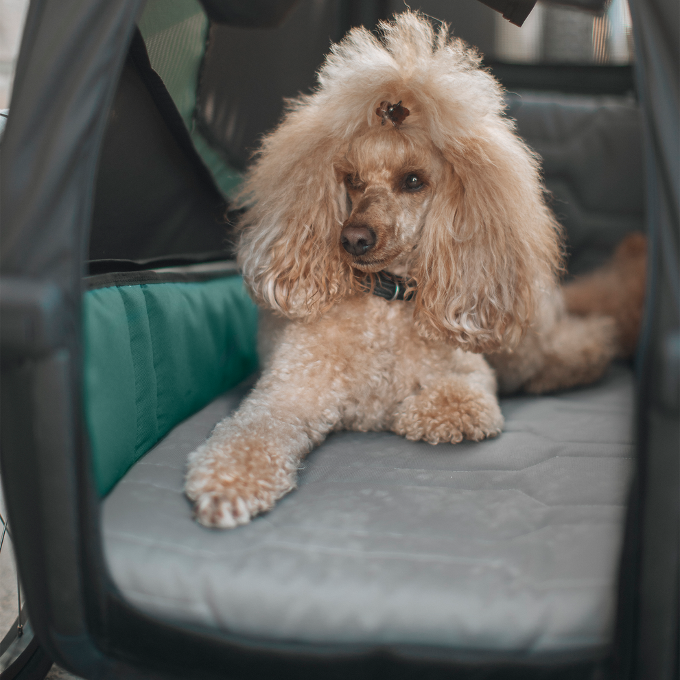 Thule Hundebett M für Fahrradanhänger