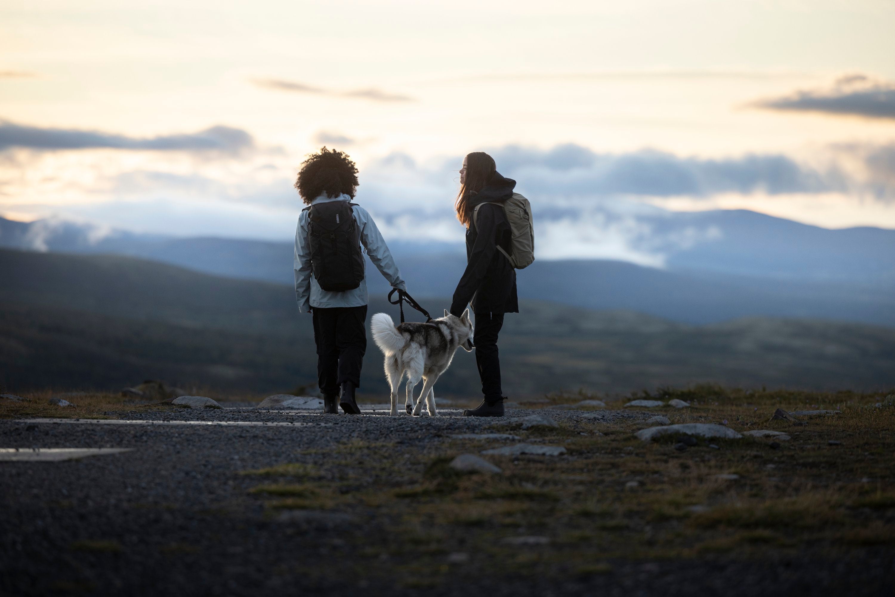 Unterwegs mit Hund - NEU