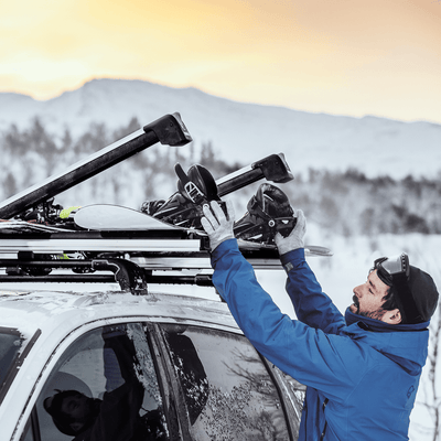 Thule SnowPack Extender Ski- und Snowboardträger aluminium 732500