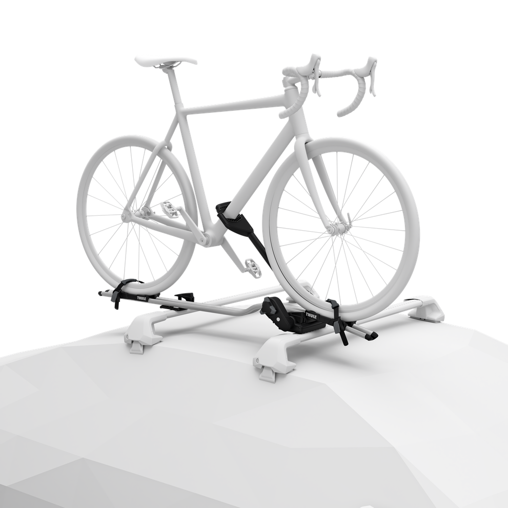 Thule ProRide Fahrradträger Dach schwarz/aluminium 598001