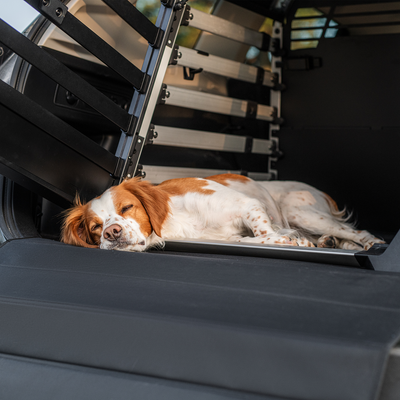Thule Matte für die Hundebox Standard