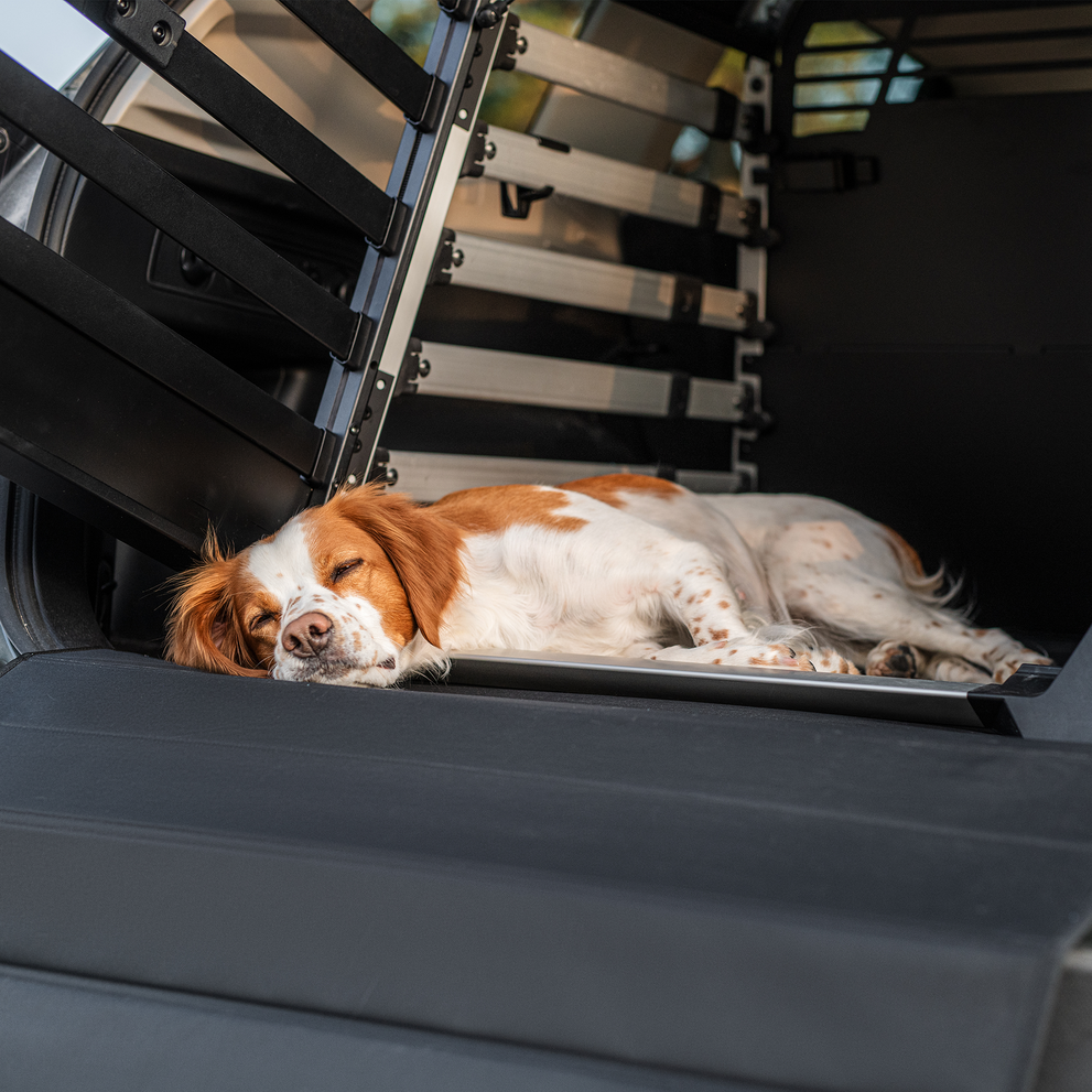 Thule Matte für die Hundebox Standard
