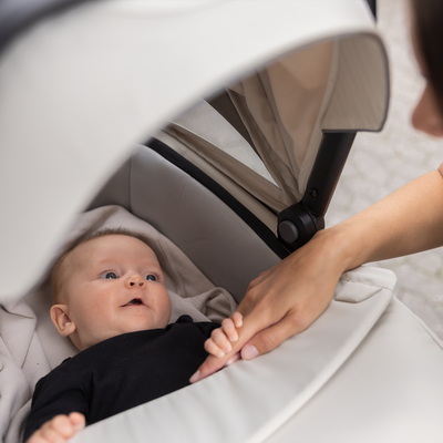 Thule Bassinet Black