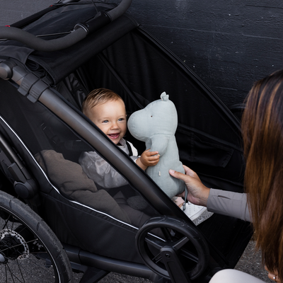 Thule Chariot Sport 2 Einzelkind-Bundle – Black