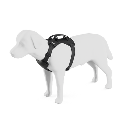 Thule Cappy Hundegeschirr für Autos L