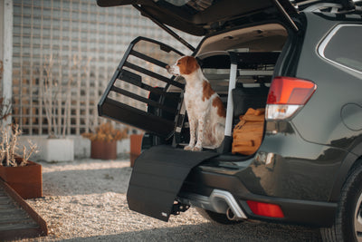 Thule Allax Hundebox threshold L compact für Autos mit niedrigem Kofferraumboden