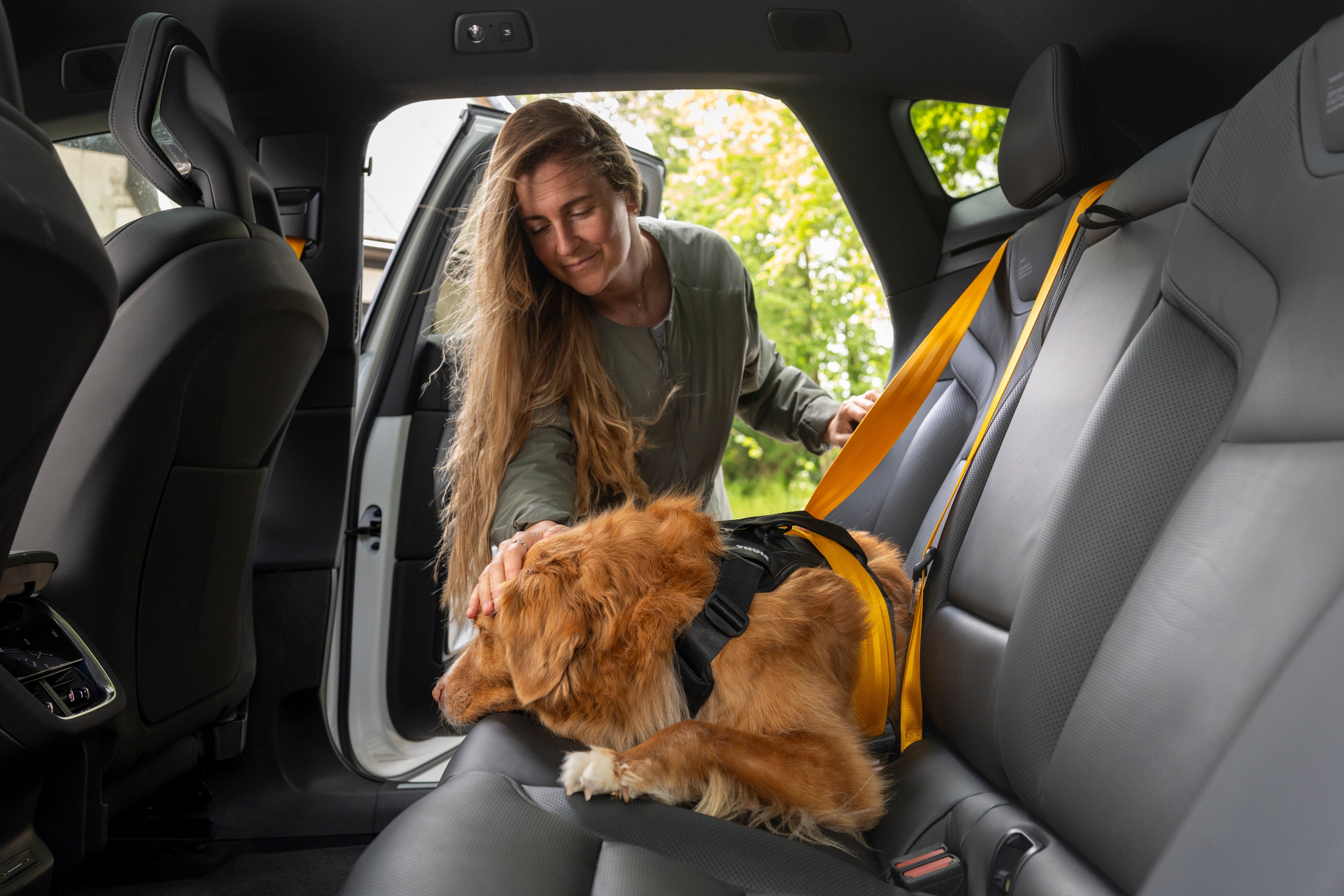 Thule Cappy Hundegeschirr für Autos L