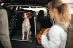 Thule Dog Crate Storage Bag