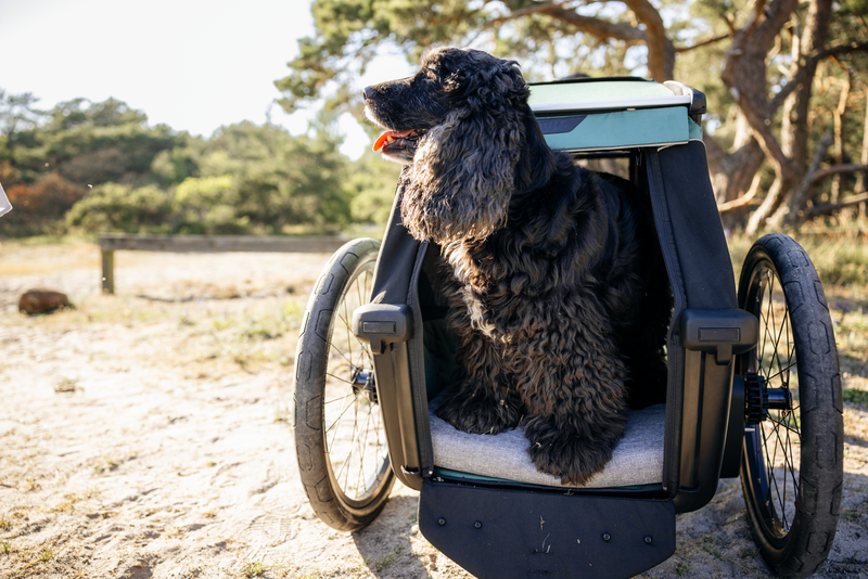 Thule Hundebett M für Fahrradanhänger